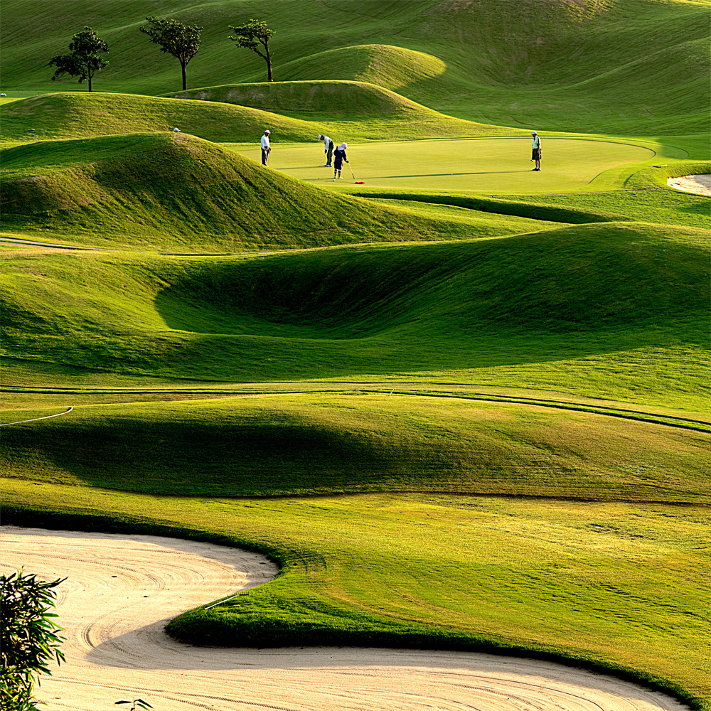 shutterstock_97104203